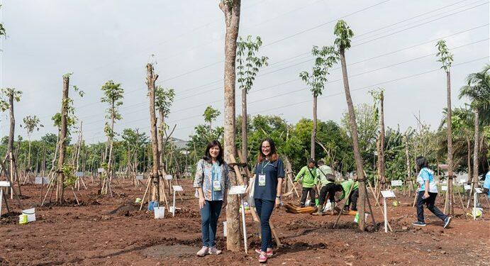 East Ventures sumbang pohon