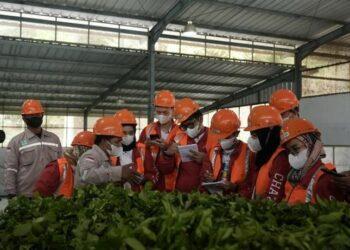 Diplomat Success Challenge (DSC) Season 14