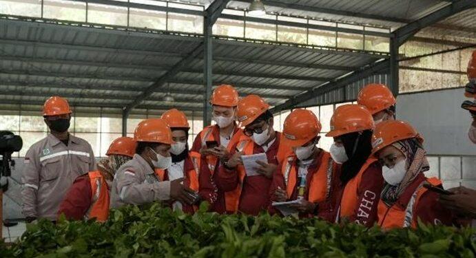 Diplomat Success Challenge (DSC) Season 14