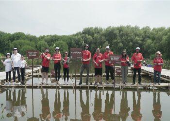 KoinWorks tanam mangrove