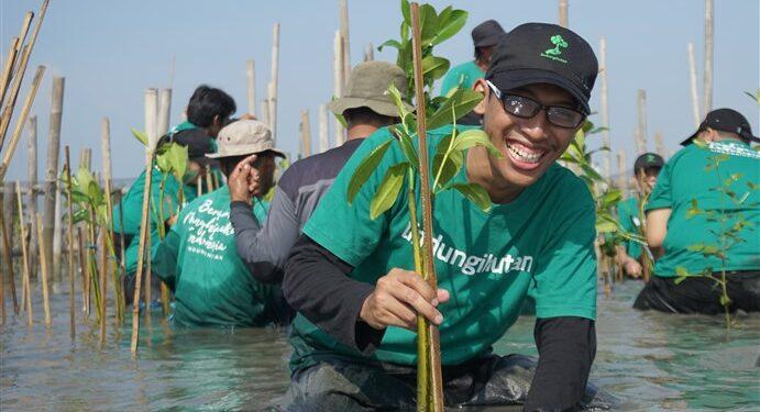 Startup LindungiHutan