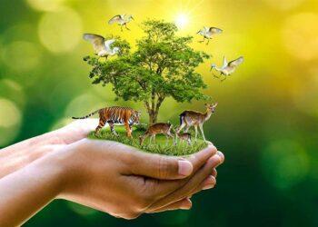 Proyek Konservasi di Asia Tenggara