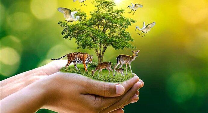 Proyek Konservasi di Asia Tenggara