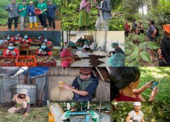 wirausaha sosial I-SEA