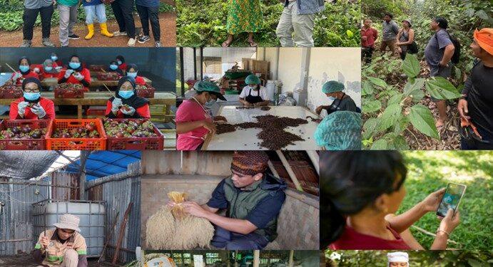 wirausaha sosial I-SEA