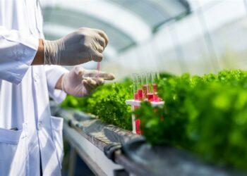 Bioteknologi pertanian