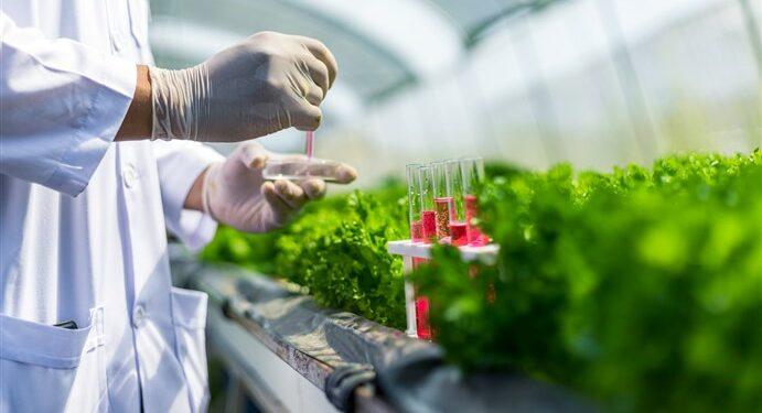 Bioteknologi pertanian