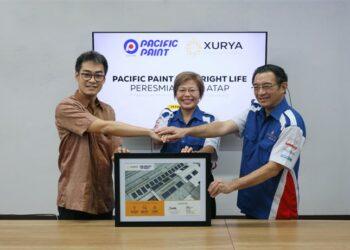 Pacific Paint x Xurya