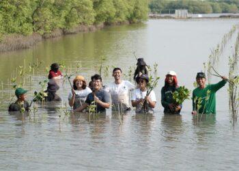 Mangrovejkt.id x Aplikasi Campaign