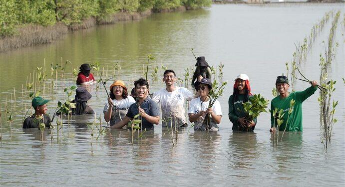 Mangrovejkt.id x Aplikasi Campaign