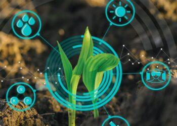 climate insurtech IBISA