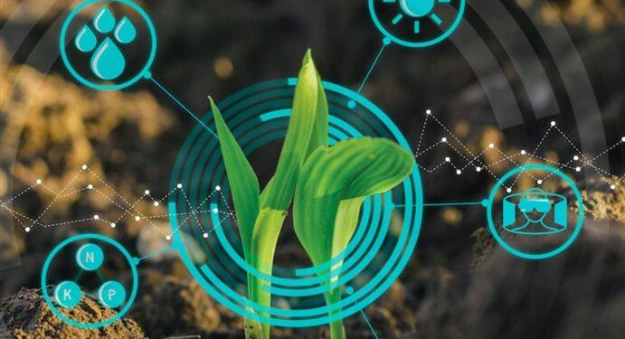 climate insurtech IBISA