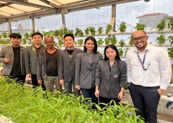 UPH - Smart Indoor Hidroponik