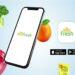 Aplikasi AlloFresh