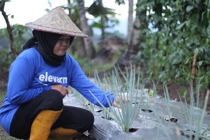 Elevarm