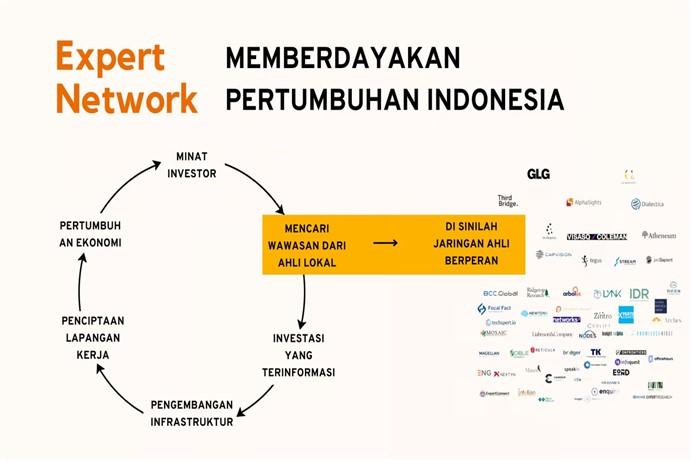 Expert Network Industry