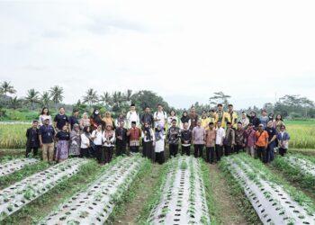 GoTo Impact Foundatiion