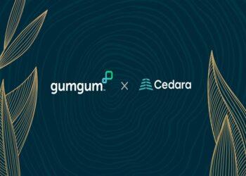 GumGum x Cedara