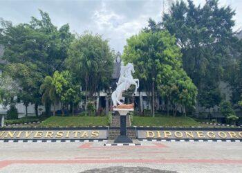UNDIP