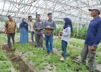 Inovasi Anak Muda Ubah Tantangan Iklim Jadi Peluang di Lahan Pertanian