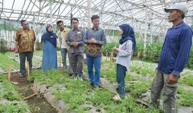 Inovasi Anak Muda Ubah Tantangan Iklim Jadi Peluang di Lahan Pertanian