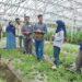 Inovasi Anak Muda Ubah Tantangan Iklim Jadi Peluang di Lahan Pertanian