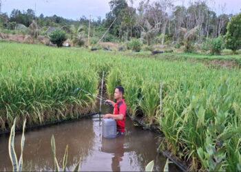 PFMuda 2025, Dukung 110 Inovasi Sosial Untuk Ketahanan Energi dan Pangan