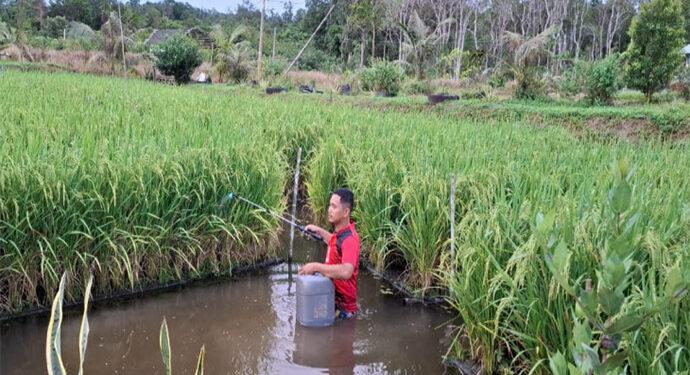 PFMuda 2025, Dukung 110 Inovasi Sosial Untuk Ketahanan Energi dan Pangan