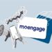 MoEngage