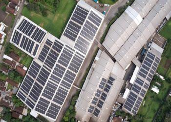 Cleo - Net Zero Emission