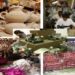 Scale–Up Indonesia Siap Digelar