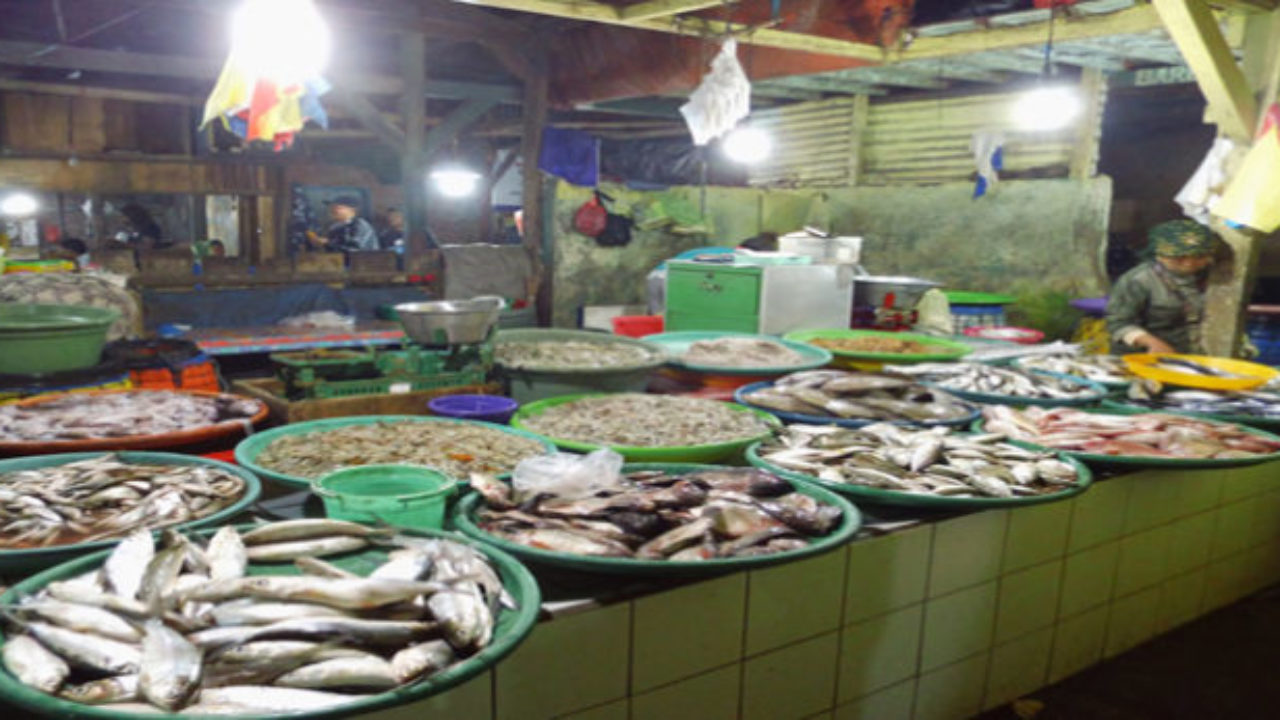 86 Koleksi Ikan Hias Air Laut Malang Gratis Terbaru