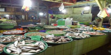Malang Akan Miliki Pasar Ikan Terbesar