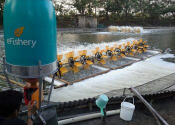 eFeeder eFishery