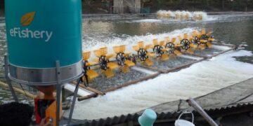 eFeeder eFishery