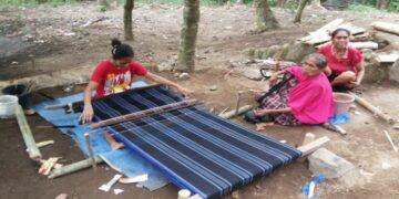 Program Studi Teknik Tenun Ikat di Undana