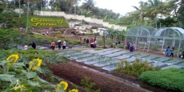 Cimory Gelar Kompetisi Bagi Konsumen