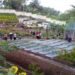 Cimory Gelar Kompetisi Bagi Konsumen