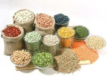Indonesia Rayakan Tahun Kacang Sedunia