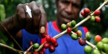 Gerakan “Dengan Bangga Menyeduh Kopi Papua”