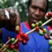 Gerakan “Dengan Bangga Menyeduh Kopi Papua”