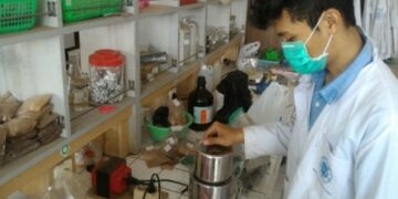 Limbah Cemara Jadi Bahan Penyamak Kulit Ramah Lingkungan