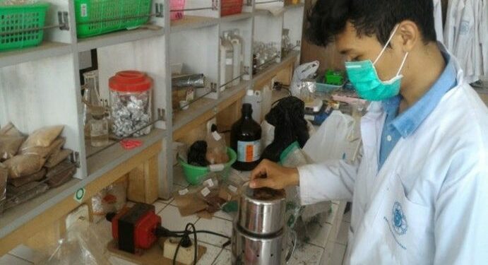 Limbah Cemara Jadi Bahan Penyamak Kulit Ramah Lingkungan