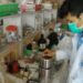 Limbah Cemara Jadi Bahan Penyamak Kulit Ramah Lingkungan