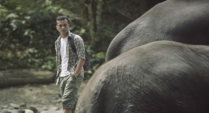 Uni Eropa Rilis Film Dokumenter Gajah Indonesia