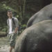 Uni Eropa Rilis Film Dokumenter Gajah Indonesia