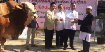 Peringati Idul Adha 1437 H, Telkom Serahkan 497 Hewan Kurban