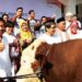 Idul Adha 1437 Hijriyah, Telkomsel Serahkan 37.000 Paket Hewan Kurban