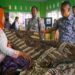 Batik Batang Bakal Go International