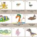 20 Gambar Karya Anak Indonesia Terpilih dalam Lomba Menggambar IKEA 2016 Tingkat Dunia